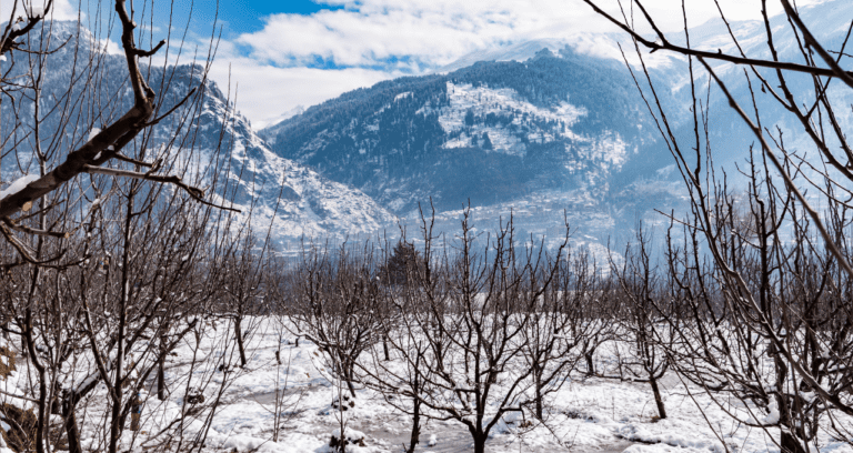 Best Time to Visit Manali